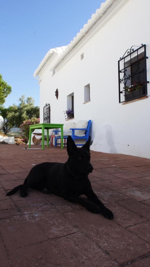 Apartamento Casa del Cielo Frigiliana Exterior foto