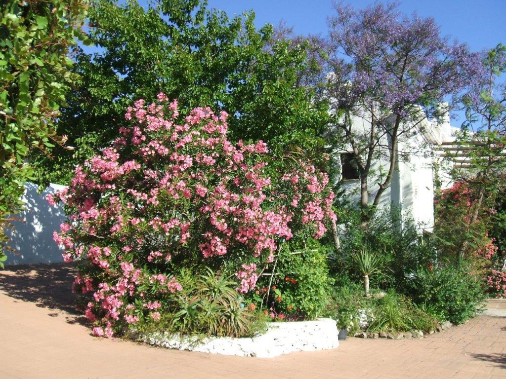 Apartamento Casa del Cielo Frigiliana Exterior foto
